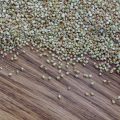 Protein sources for vrat: Paneer, nuts, seeds, milk, lassi, sabudana, amaranth