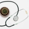 Modern Research & Scientific Evidence on Shatavari Benefits in Ayurveda