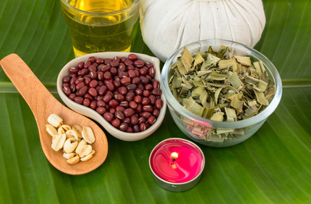 Ayurvedic Insights on the Importance of Sleep Timing in Indian Culture