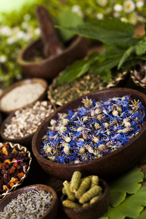 Health Awareness in Indian Society with Natural Remedies