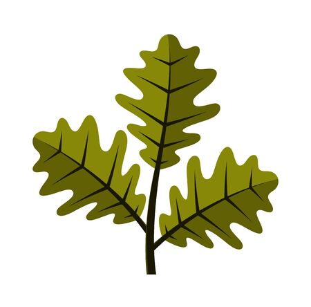 Herbal and Medicinal Benefits in Ayurveda